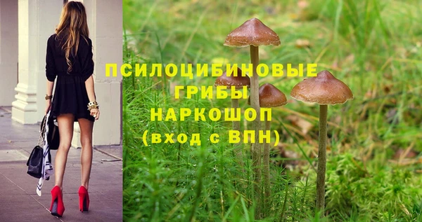 винт Абинск